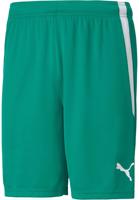 Puma Teamliga Shorts XL